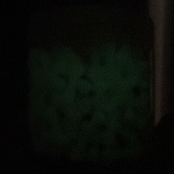 New Michaels Mini Halloween Bones Ashland Glow in the Dark Tiny Bones 9oz Tub - Picture 3 of 6